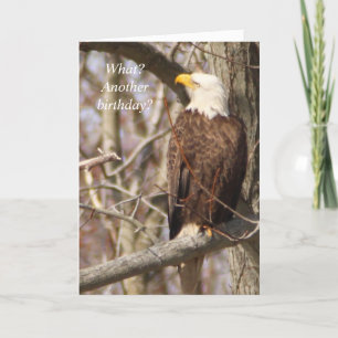 Eagle Birthday Card Karte