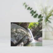 Eagle Cliff Falls, Kentucky Postkarte (Stehend Vorderseite)