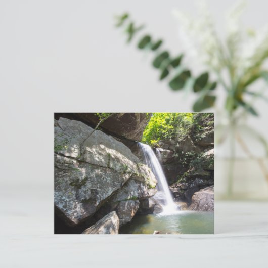 Eagle Cliff Falls, Kentucky Postkarte (Stehend Vorderseite)
