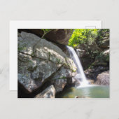Eagle Cliff Falls, Kentucky Postkarte (Vorne/Hinten)