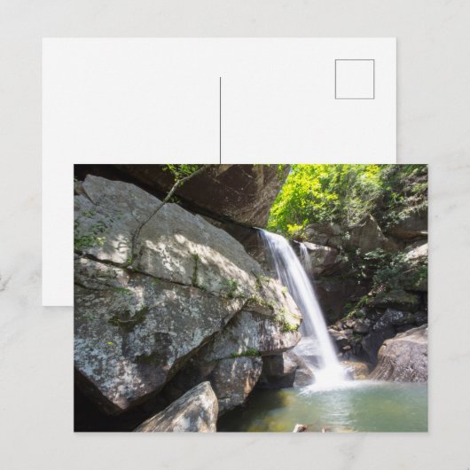 Eagle Cliff Falls, Kentucky Postkarte (Vorne/Hinten)