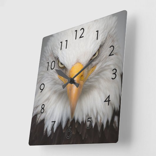 Eagle Closeup Quadratische Wanduhr (Winkel)