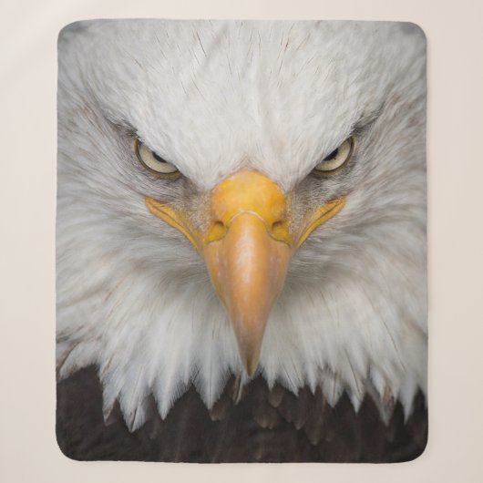 Eagle Closeup Sherpadecke (Vorderseite)
