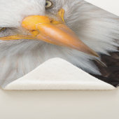 Eagle Closeup Sherpadecke (3/4)