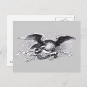Eagle des revolutionären Krieges Postkarte (Vorne/Hinten)