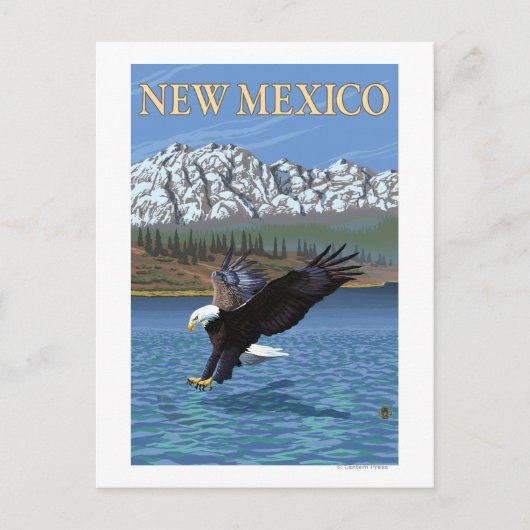 Eagle DivingNew Mexico Postkarte (Vorderseite)