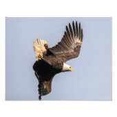 Eagle Drehung Fotodruck (Vorne)