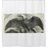 Eagle Duschvorhang (Vorderseite)