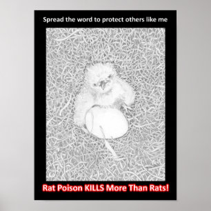 EAGLE E14 SAGT, PROTECT WILDLIFE RETTE LEBEN POSTER