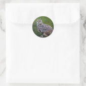 Eagle-Eule-Aufkleber Runder Aufkleber (Tasche)