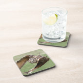 Eagle-Eule im Flug Getränkeuntersetzer (Rechte Seite)