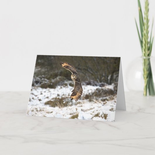 Eagle-Eule im Flug Karte (Vorderseite)