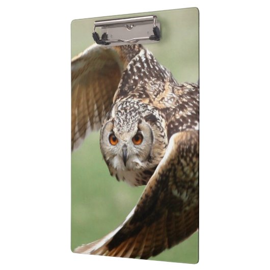 Eagle-Eule im Flug Klemmbrett (Links)