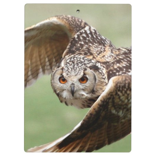 Eagle-Eule im Flug Klemmbrett (Rückseite)