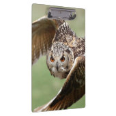 Eagle-Eule im Flug Klemmbrett (Rechts)