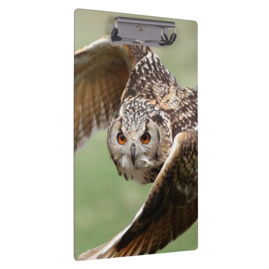 Eagle-Eule im Flug Klemmbrett (Rechts)