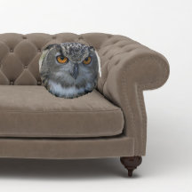 Eagle-Eule mit orangefarbenen Augen