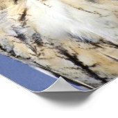 Eagle-Eule Poster (Ecke)