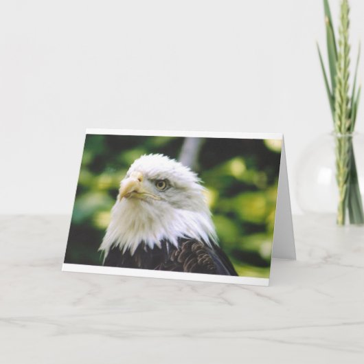 Eagle Eye Karte (Vorderseite)