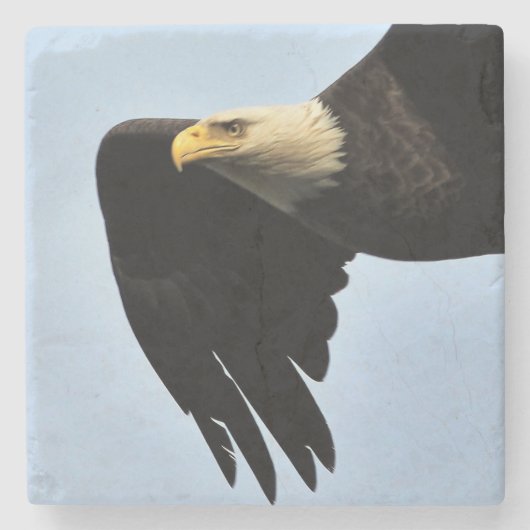 Eagle Eye Portrait Steinuntersetzer (Vorderseite)