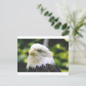 Eagle Eye Postkarte (Stehend Vorderseite)