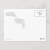 Eagle Eye Postkarte (Rückseite)