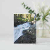 Eagle Fall Postkarte (Stehend Vorderseite)