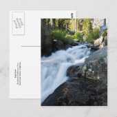 Eagle Fall Postkarte (Vorne/Hinten)