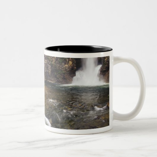 Eagle Falls aka Trick Falls in den zwei Zweifarbige Tasse (Rechts)