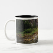 Eagle Falls aka Trick Falls in den zwei Zweifarbige Tasse (Links)
