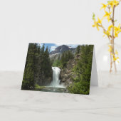 Eagle Falls im Glacier National Park Karte (Gelbe Blume)