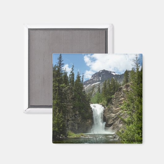 Eagle Falls im Glacier National Park Magnet (Vorderseite/Rückseite)