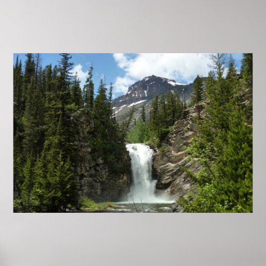 Eagle Falls im Glacier National Park Poster (Vorne)
