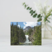 Eagle Falls im Glacier National Park Postkarte (Stehend Vorderseite)