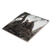 Eagle Familie singen Spiegeland Tile Fliese (Seite)