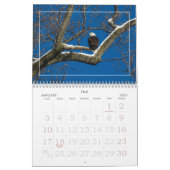 Eagle Family Calendar Kalender (Jan 2027)