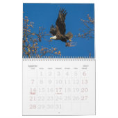 Eagle Family Calendar Kalender (Mär 2027)