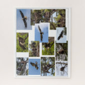 Eagle Family Life Puzzle (Vertikal)