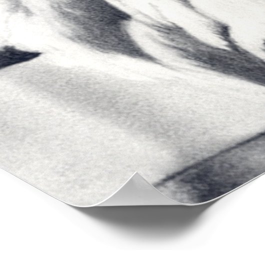 Eagle & Flag Poster Art (Ecke)