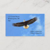 Eagle-Fliegen Visitenkarte (Rückseite)