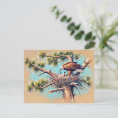 Eagle Füttre jung in Nest auf Pine Tree Pastel Postkarte (Stehend Vorderseite)