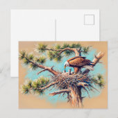 Eagle Füttre jung in Nest auf Pine Tree Pastel Postkarte (Vorne/Hinten)