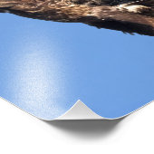 Eagle Games Fotodruck (Ecke)