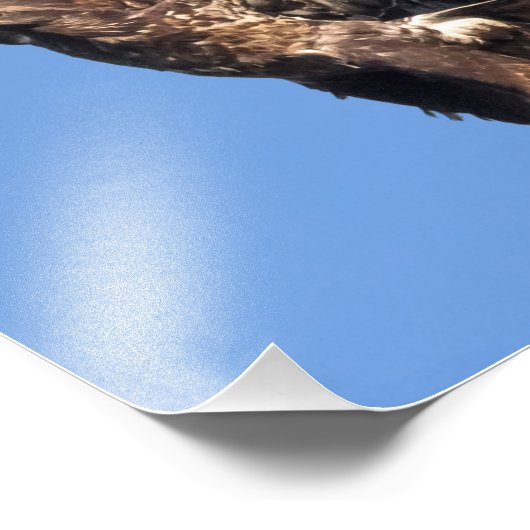 Eagle Games Fotodruck (Ecke)