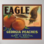 Eagle Georgia Paches Poster (Vorne)