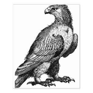 Eagle Große Gummi-Briefmarke Gummistempel