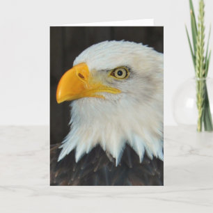 Eagle Head Greeting Card Karte