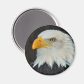 Eagle Head Magnet (Vorderseite/Rückseite)