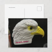 Eagle Head Postkarte (Vorne/Hinten)