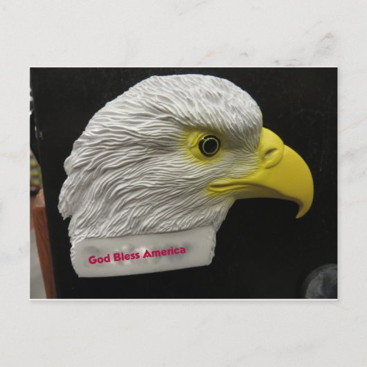 Eagle Head Postkarte (Vorderseite)